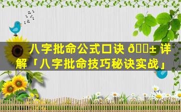 八字批命公式口诀 🐱 详解「八字批命技巧秘诀实战」
